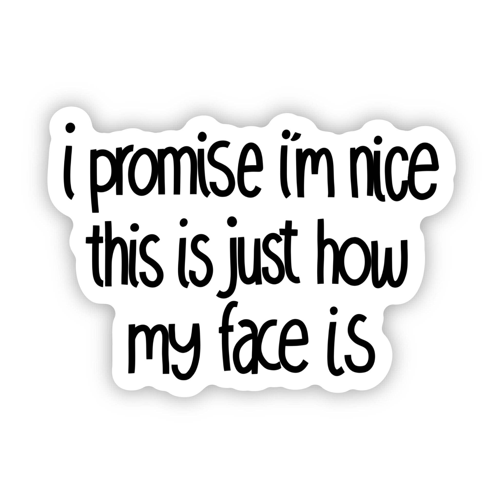 I Promise I'm Nice This Is Just How My Face Is