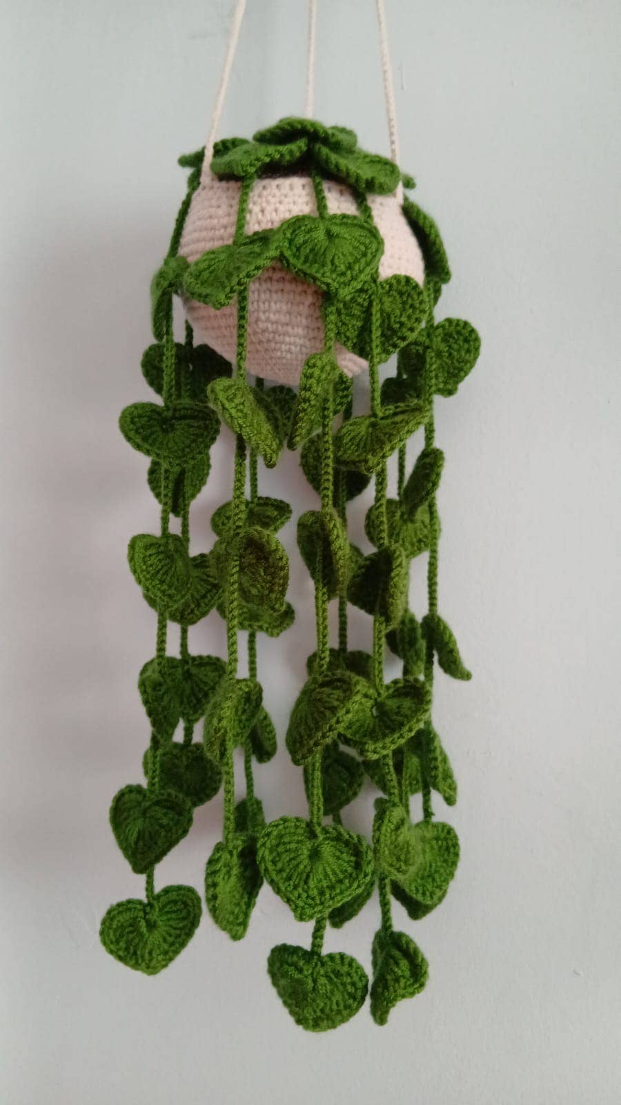 Crochet Hanging Plant – Zero Maintenance, 100% Charm