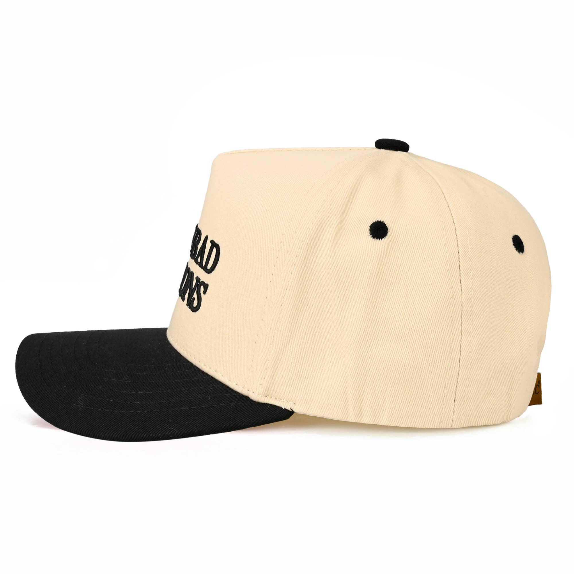 CEO OF BAD DECISION TRUCKER HAT