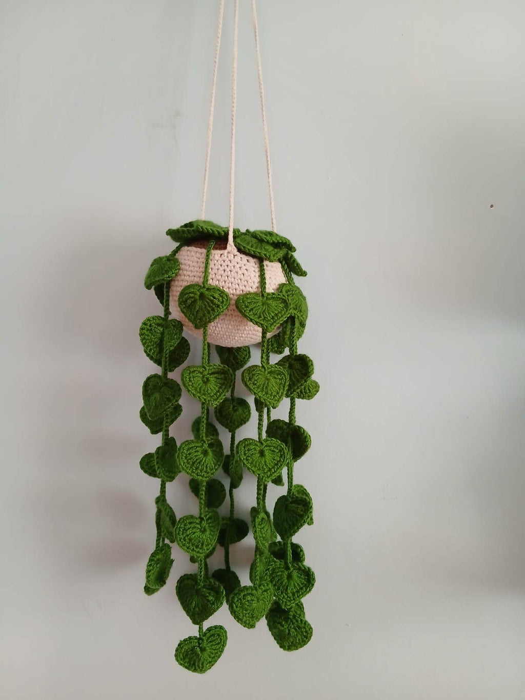 Crochet Hanging Plant – Zero Maintenance, 100% Charm